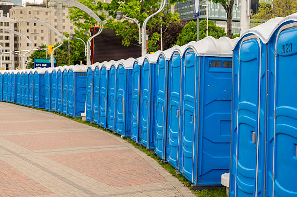 Best Event Portable Toilet Rental  in Paw Paw, MI